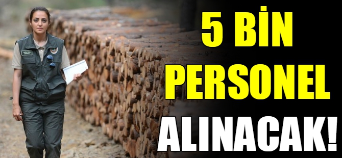 Orman Bakanlığı 5 bin personel alacak