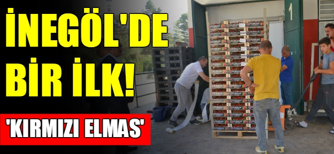 İnegöl'de ilk kez çilek ihracatı yapıldı