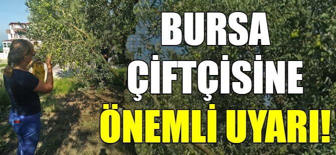 Bursa çiftçisine önemli uyarı!
