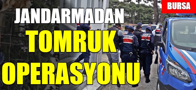 Jandarmadan 'Tomruk' operasyonu