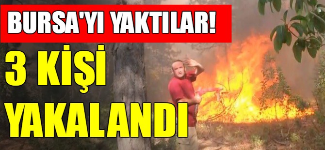 Bursa’daki orman yangınlarının failleri yakalandı