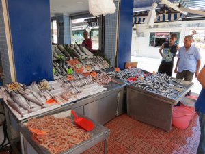 Av yasağı bitti Bursa'da balık bollaştı