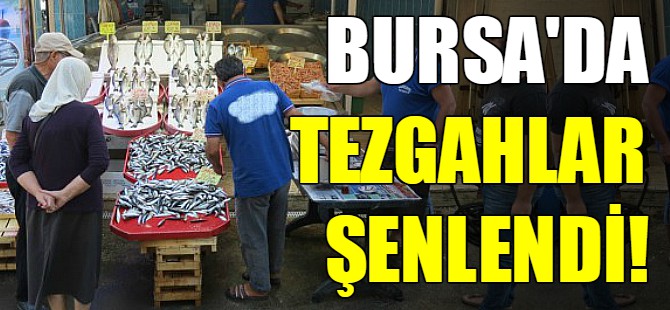 Av yasağı bitti Bursa'da balık bollaştı