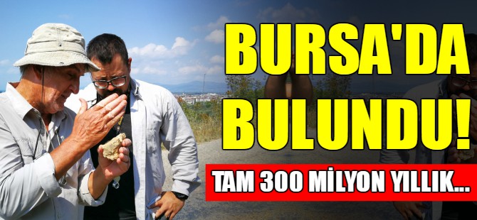 İznik'te büyük deniz keşfi
