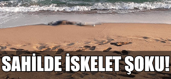 Sahilde iskelet şoku!