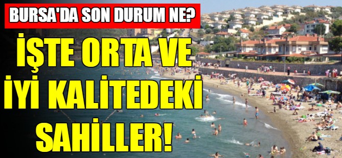 Bursa sahillerinde son durum
