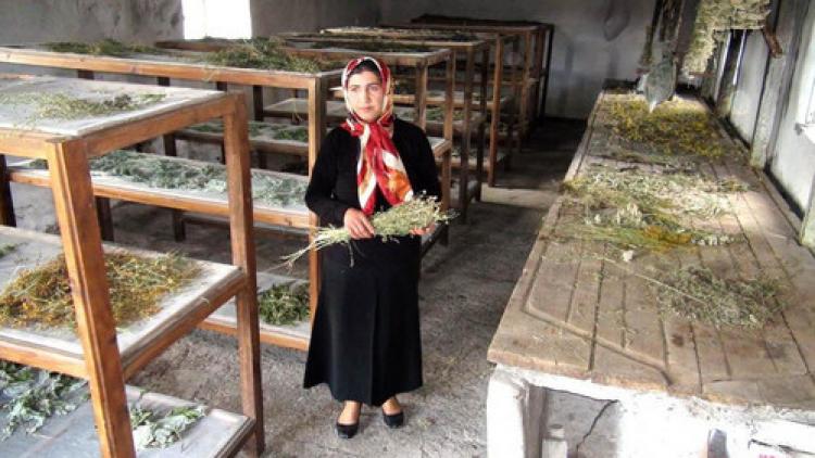 Kars'ta bin 670 çiçekten bal yapılıyor