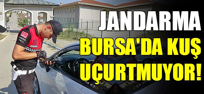 Bursa'da jandarma kuş uçurtmuyor