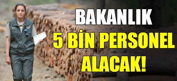Orman Bakanlığı 5 bin personel alacak