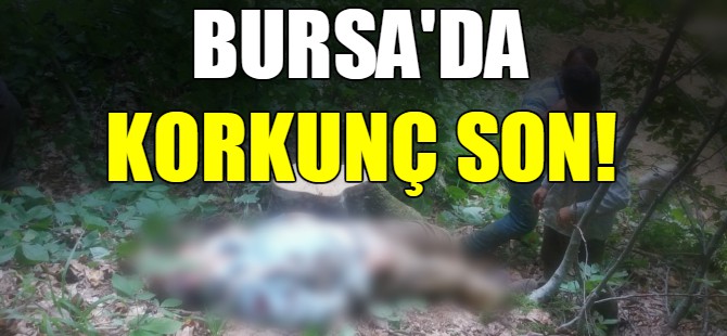 Bursa'da korkunç son!