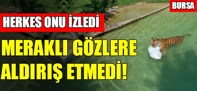 Bursa Hayvanat Bahçesinde herkes onu izledi