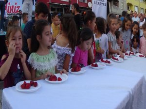 Bursa'da Çilek Festivali
