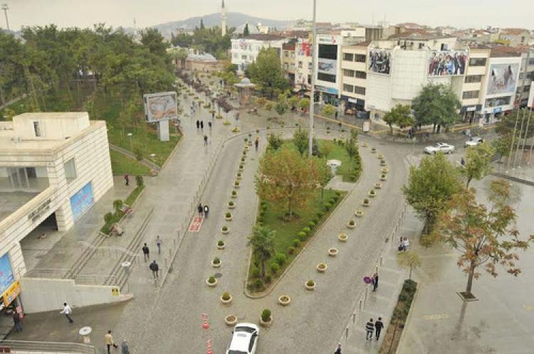 Miting için ağaçları söktüler