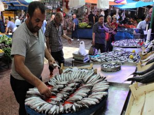 Bursa'da tezgâhtaki en ucuz balık sardalye
