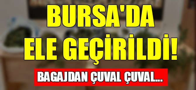 Bursa'da çuval çuval esrar ele geçirildi