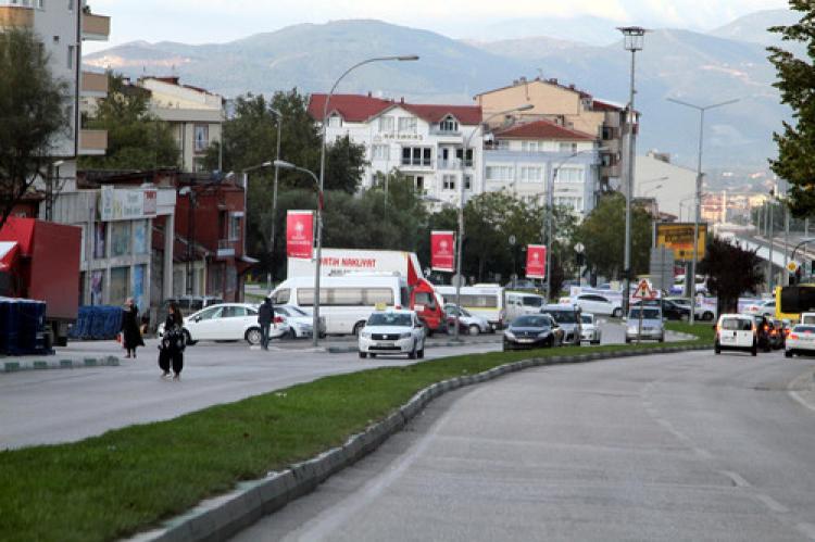 Miting için ağaçları söktüler!