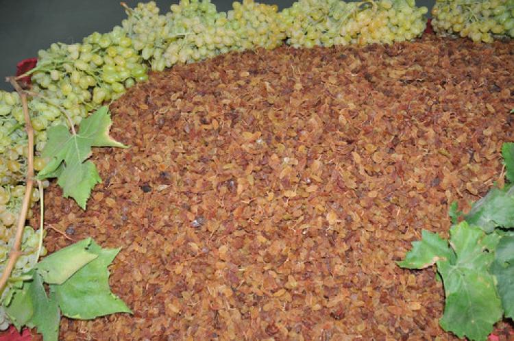 Üzüm ihracatçıları Anuga Fuarı’ndan ticari bağlantılarla döndü