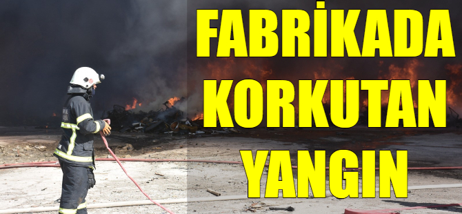 Geri dönüşüm fabrikasında yangın