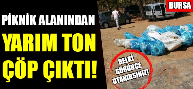 Bursa'da 4 saatte yarım ton çöp topladılar