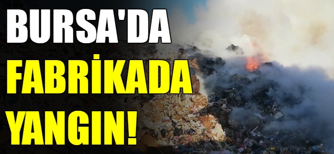 Bursa'da fabrikada yangın!