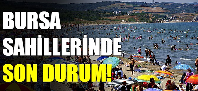 Bursa sahillerinde son durum