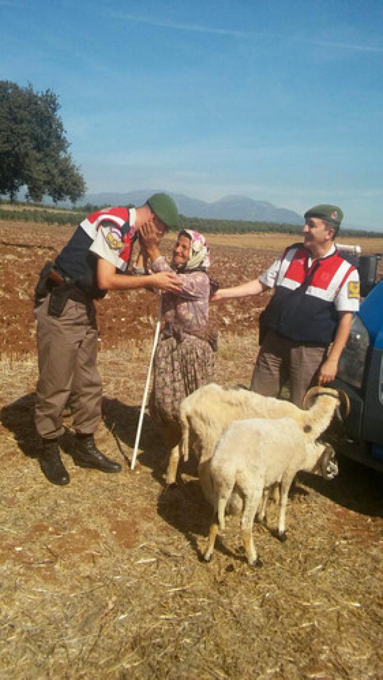 Yaşlı kadın koyunlarına kavuştu