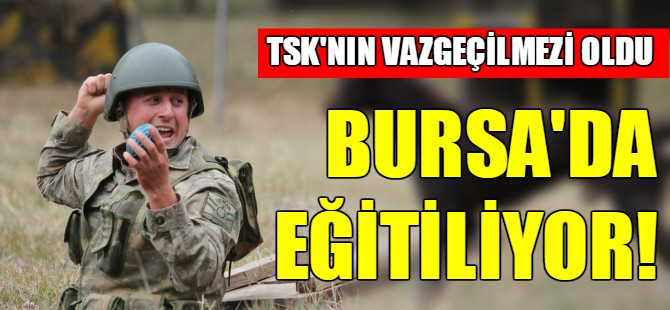 Sınır ötesi operasyonlara yerli ırk köpek!