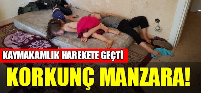 Korkunç manzara!