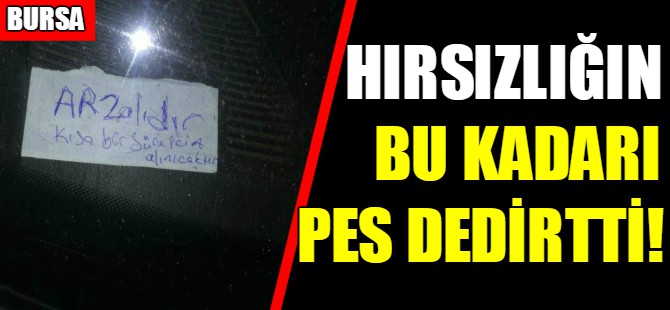 Hırsızlığın bu kadarı pes dedirtti!
