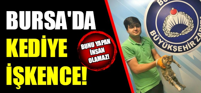 Bursa'da hayvan işkencesi!