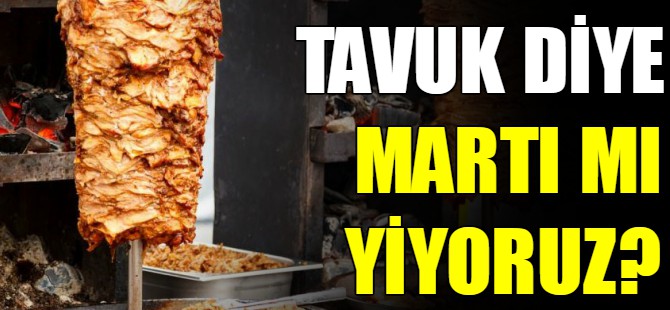 Tavuk diye martı mı yiyoruz?