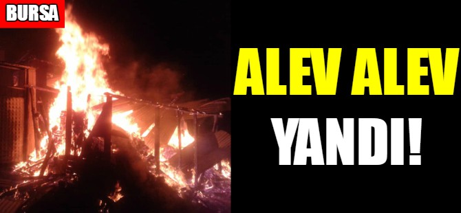 Bursa'da yangın!