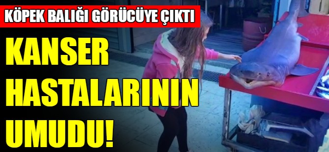 Kanser hastalarının umudu!