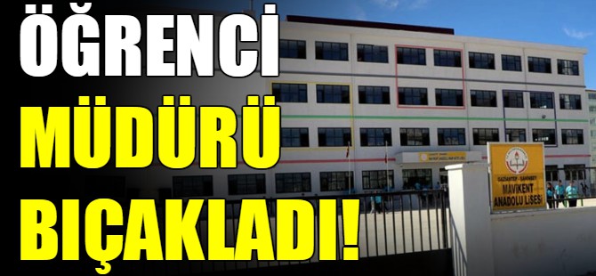 Öğrenci müdürü bıcakladı!