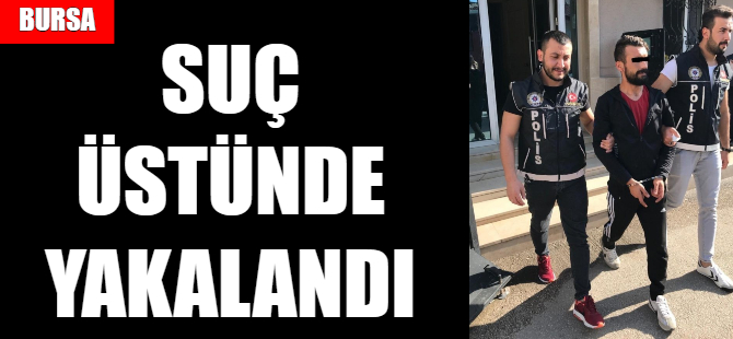 Bursa'da zehir tacirine suçüstü