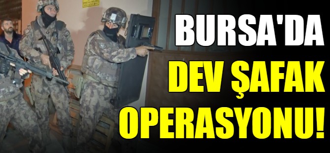 Dev uyuşturucu operasyonu