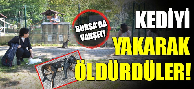 Bunu yapan insan olamaz!