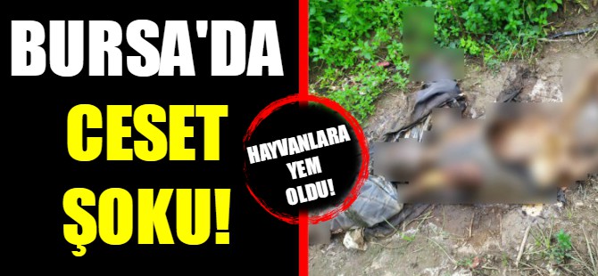 Tarlada ceset bulundu