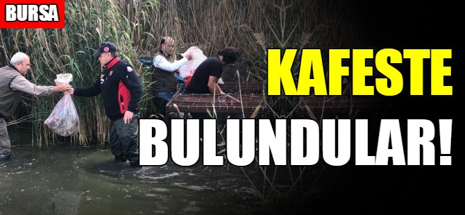 Kafeste bulundular