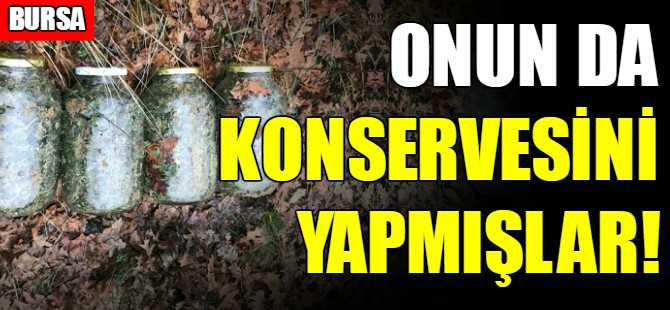 Onun da konservesini yapmışlar
