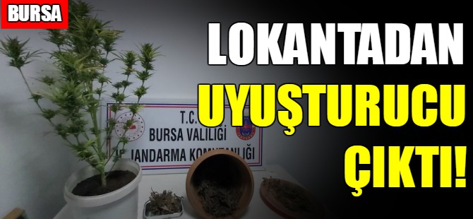 Lokantadan uyuşturucu çıktı