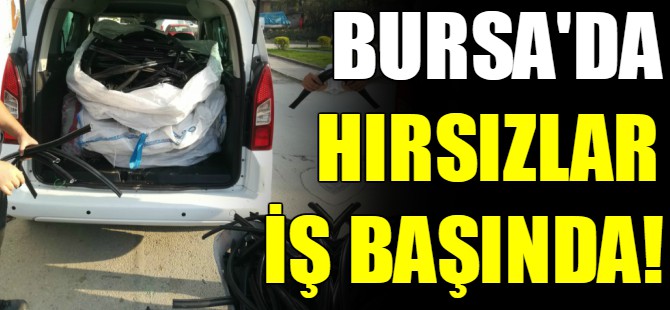 Bursa'da hırsızlar iş başında!