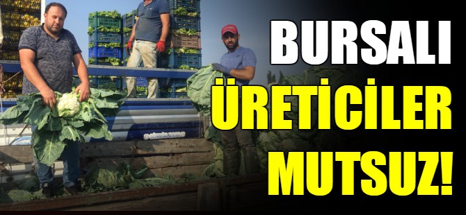 Bursalı üreticiler mutsuz