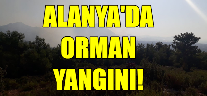 Alanya'da orman yangını