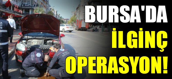 Bursa'da kedi kurtarma operasyonu