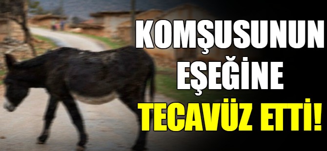Komşusunun eşeğine tecavüz etti
