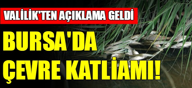 Çevre katliamı için flaş açıklama