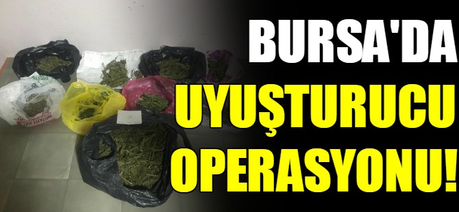 Bursa'da uyuşturucu operasyonu