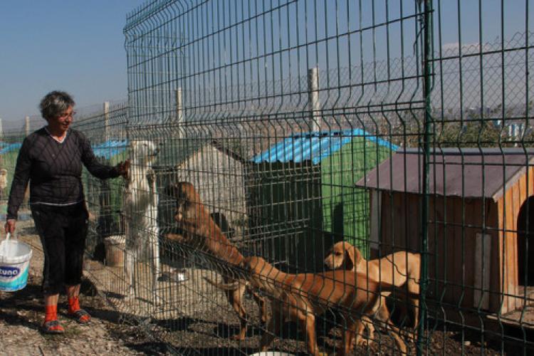 Çankaya'da sokak hayvanları için geçici bakım istasyonu