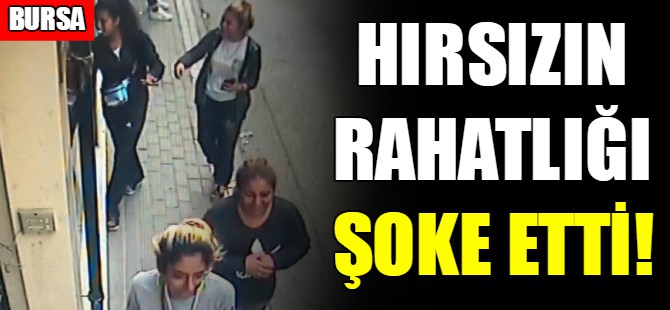 Bu kadarına da pes!